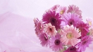 Một số cách cắm hoa với kiểu bình hoa sáng tạo cùng hoa cúc