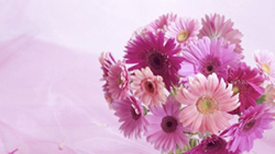 Một số cách cắm hoa với kiểu bình hoa sáng tạo cùng hoa cúc