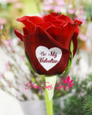 Be My Valentine - S54