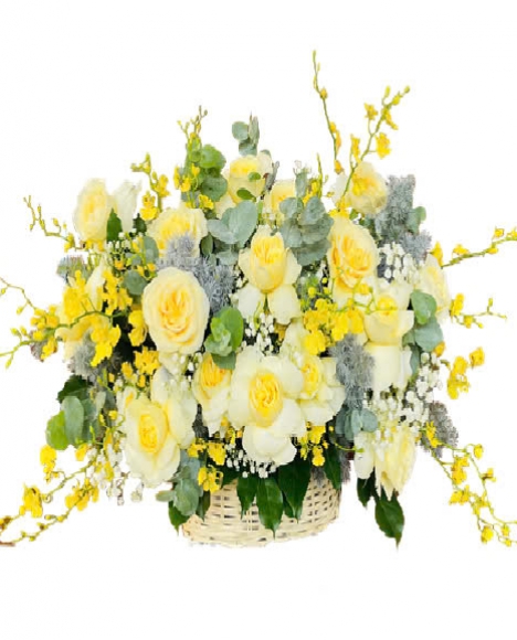 Sắc vàng rực rỡ - HSG176