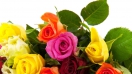 Bí quyết tặng hoa hồng ngày 20/10 cho người phụ nữ thân yêu