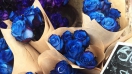 Tìm hiểu ý nghĩa những màu sắc của bó hoa hồng tặng sinh nhật
