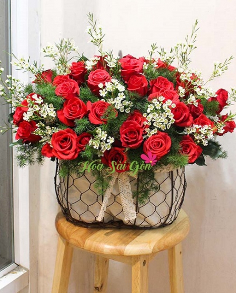 Tình say đắm HSG251