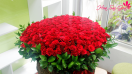 Tổng hợp những mẫu hoa Valentine 14/2 được yêu thích nhất tại Hoa Sài Gòn