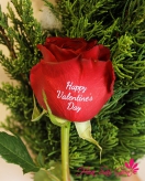 Valentine ngọt ngào - S50