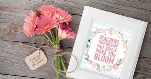 Ý nghĩa các loài hoa đẹp ngày 20/11 dành tặng thầy cô giáo