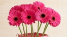 Ý nghĩa của những loài hoa đẹp sinh nhật tặng mẹ