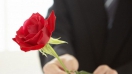 Ý nghĩa màu sắc và số lượng của hoa hồng ngày 20/10 dành tặng bạn gái