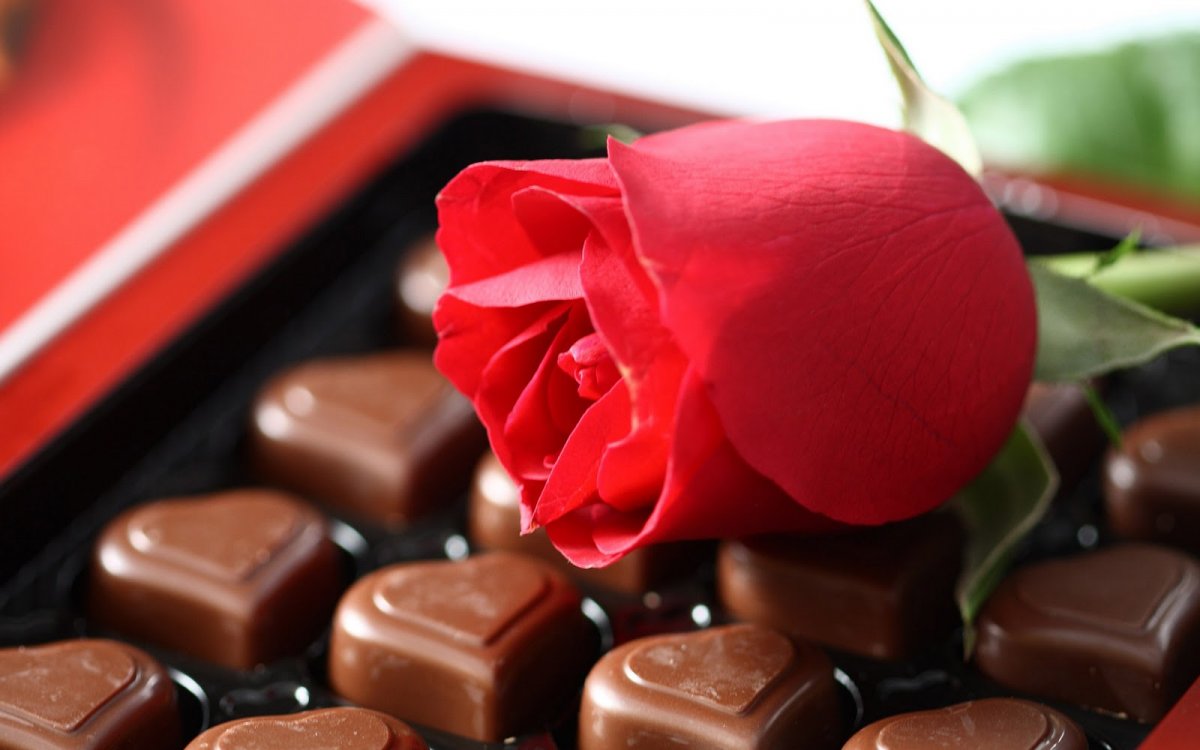 Chocolate cho ngày Phụ nữ Việt Nam 20/10 Chocolate Cho Ngày Phụ Nữ Việt Nam 20/10